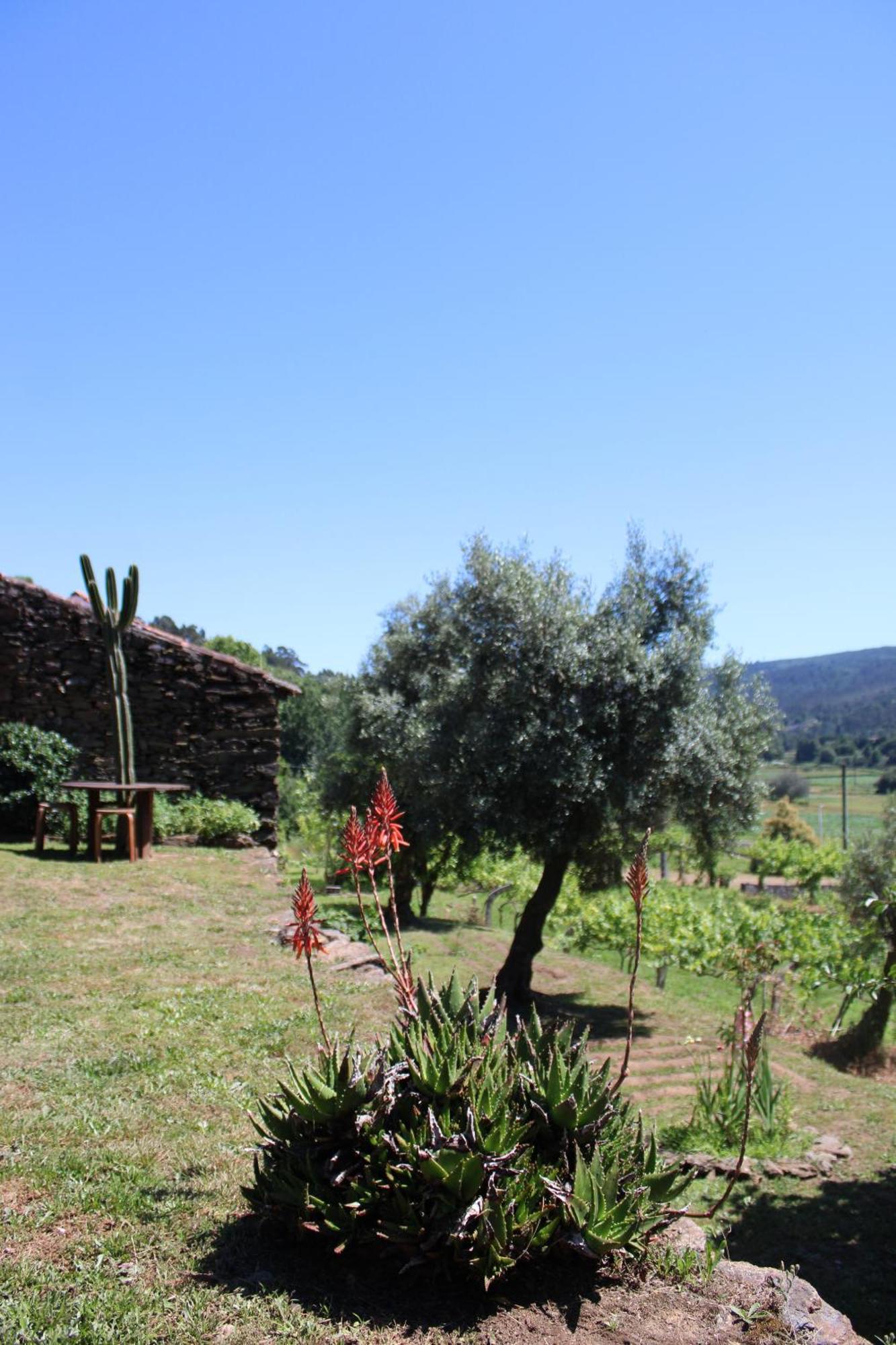 Vila Lugar Da Lourida Caminha Exteriér fotografie